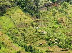 开云下载-乌干达队客场惨败肯尼亚，穆祖贝进球
