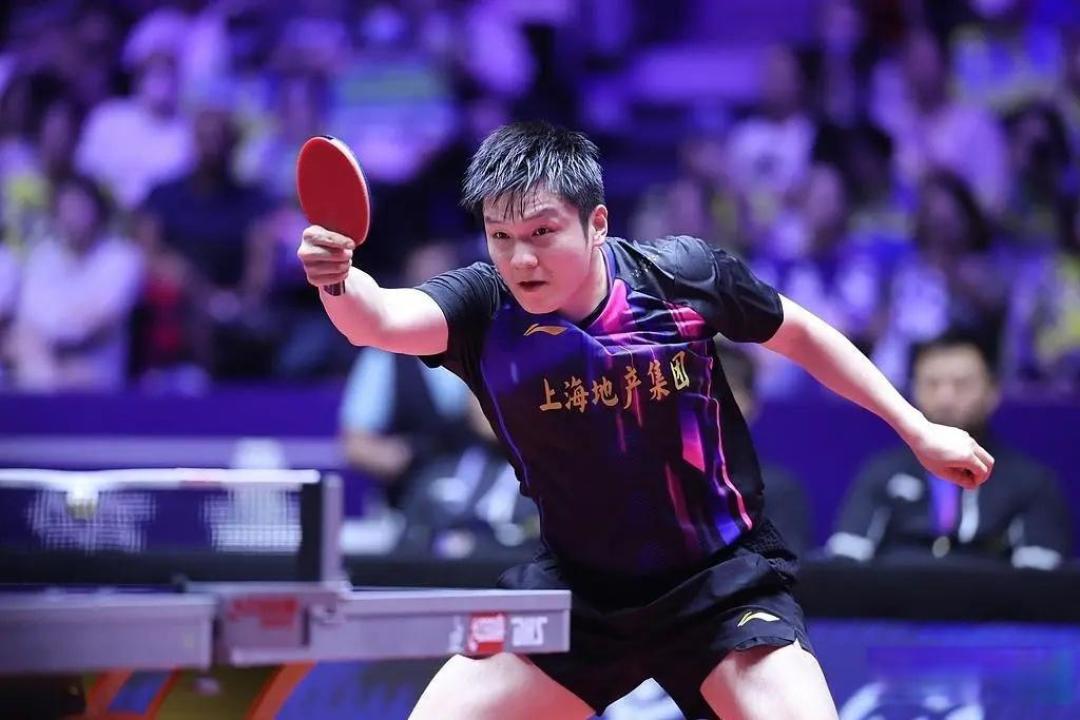 关于葡萄牙队碾压瑞典队，樊振东状态火热的信息