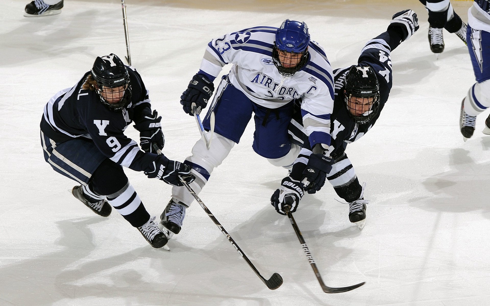 逆转巴黎,一场关于韧性的东方艺术展